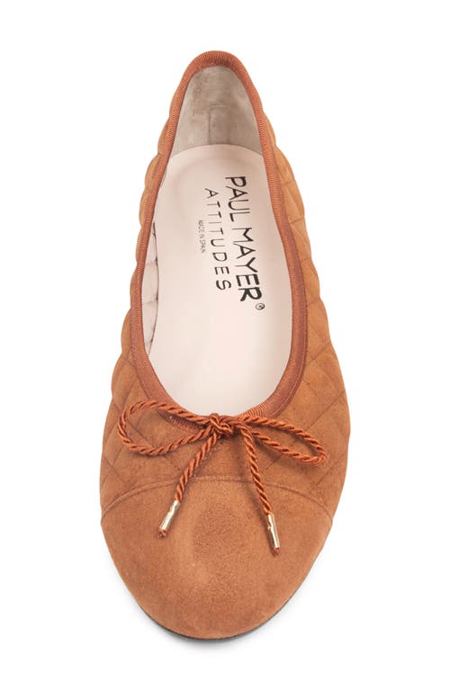 Paul Mayer Best Cap Toe Ballet Flat In Brown