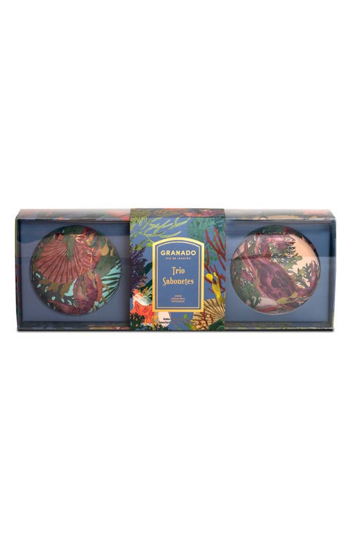 Granado The Deep Sea Wonders Collection Set In Transparent