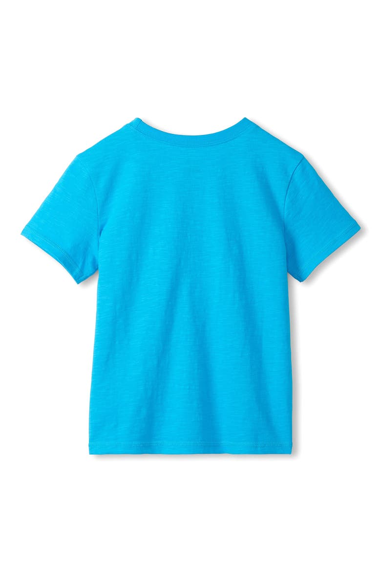 Kids' Hoops Graphic T-Shirt, Alternate, color, BLUE