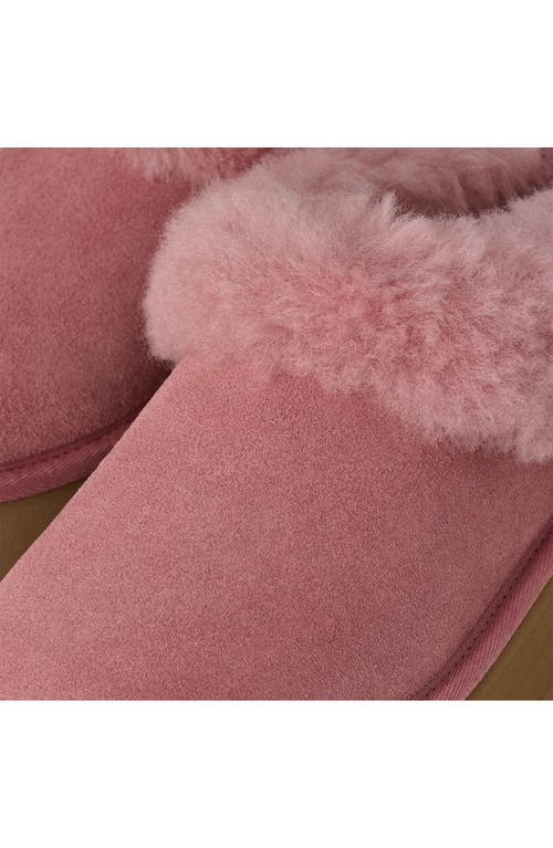 Ugg(r) Tazzelle Genuine Shearling Collar Slipper In Pink