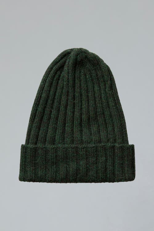 Sskein Ribbed Beanie In Green