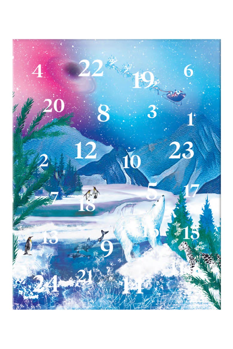 Gourmet Chocolate 2024 Advent Calendar Gift, Main, color, MULTI