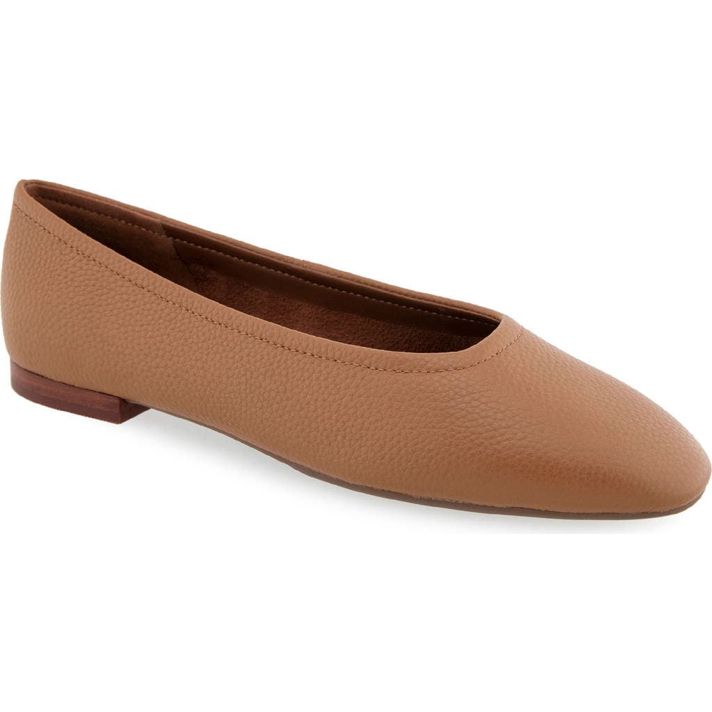 AEROSOLES AEROSOLES AMELIE BALLET FLAT