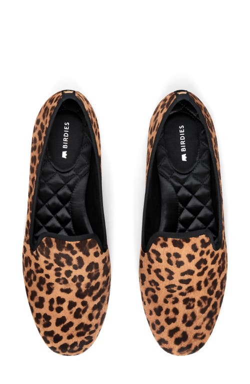 Birdies Starling Flat In Leopard Print Calf Hair