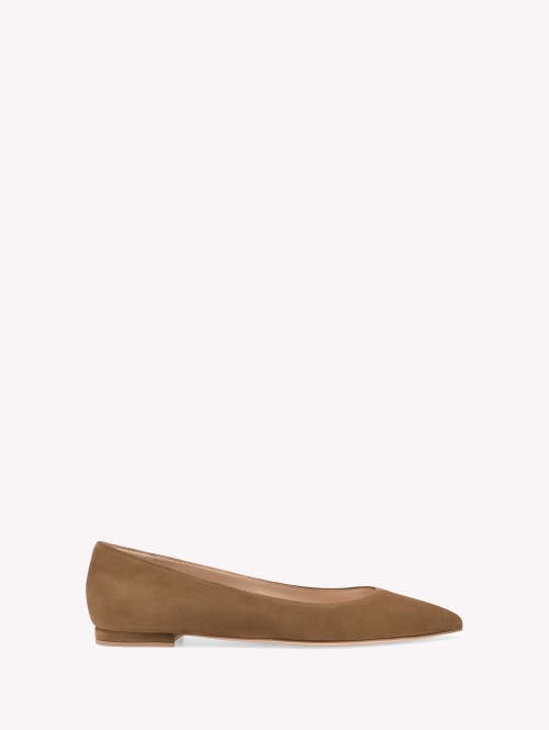 Gianvito Rossi Suede Pointed-toe Ballerina Flats In Brown