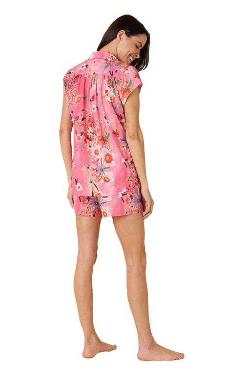 The Cat's Pajamas Voile Short Set