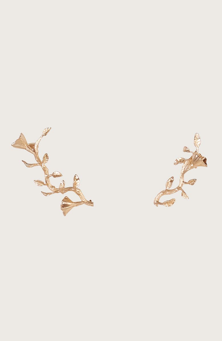 Cult Gaia Fana Vine Ear Climber, Alternate, color, Brushed Brass