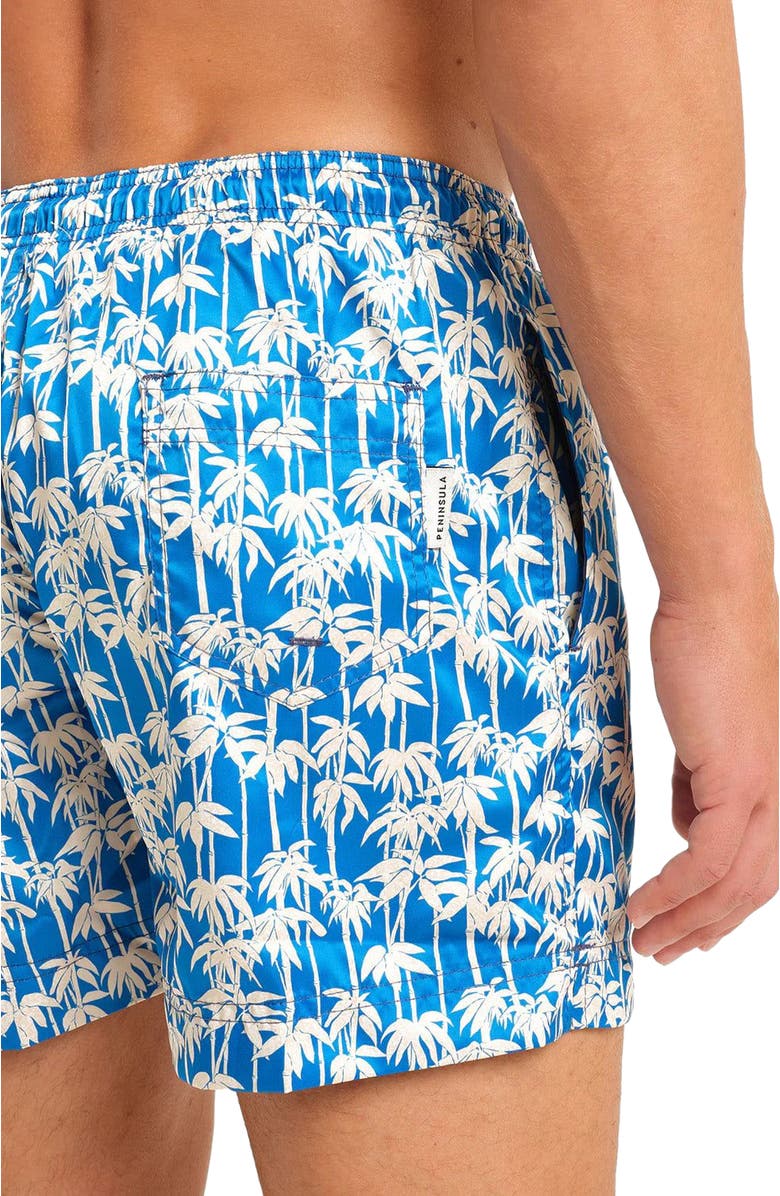 Peninsula Swimwear Panama Swim Shorts, Alternate, color, Multicolor