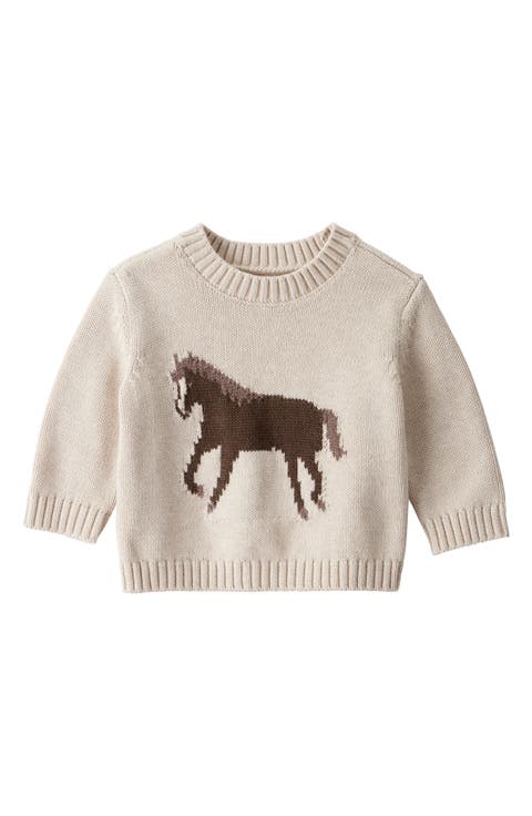 Organic Cotton Intarsia Sweater