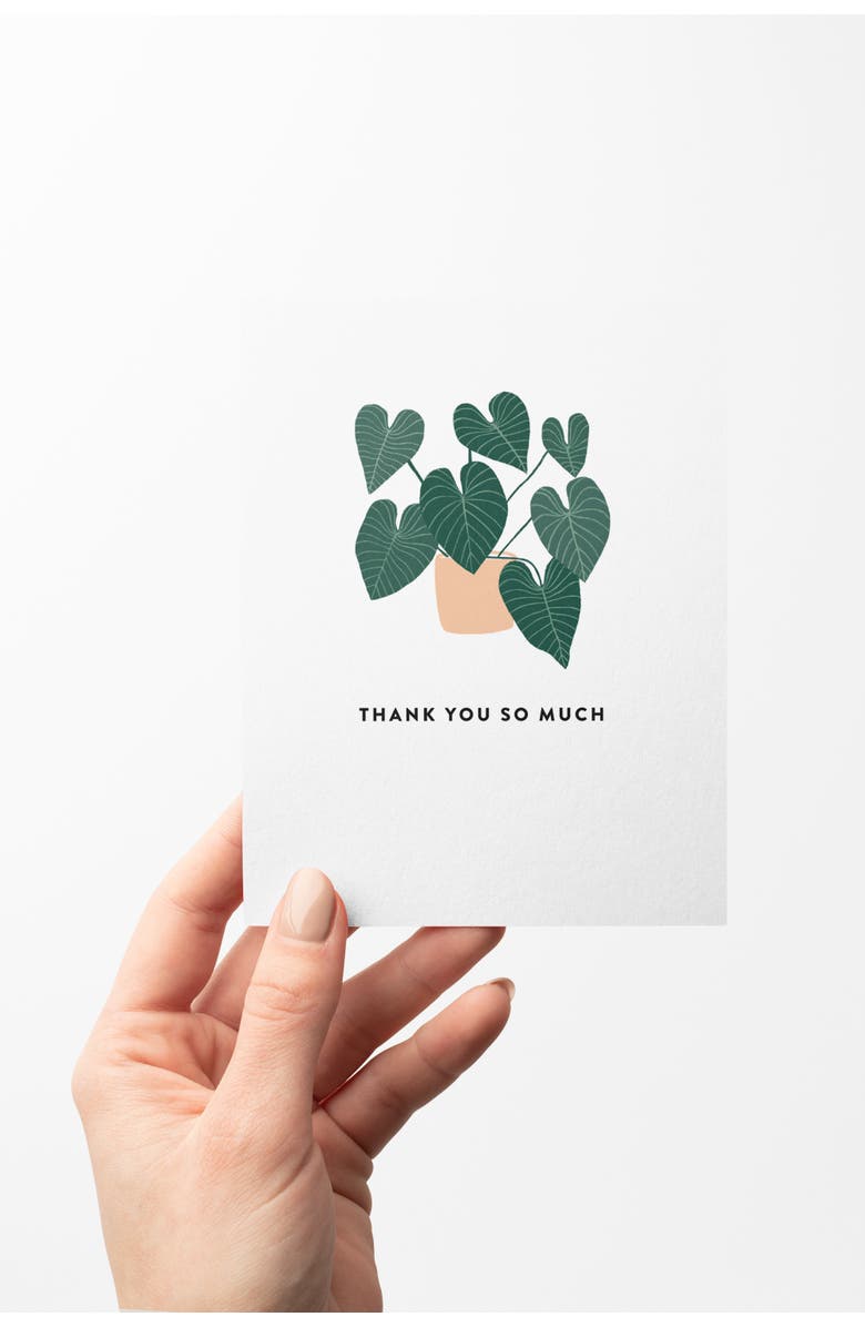 Joy Paper Co. Thank You House Plant Boxed Set of 8 Greeting Cards, Alternate, color, White, Teal, Coral