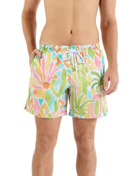The Desert Island - Swim Trunks