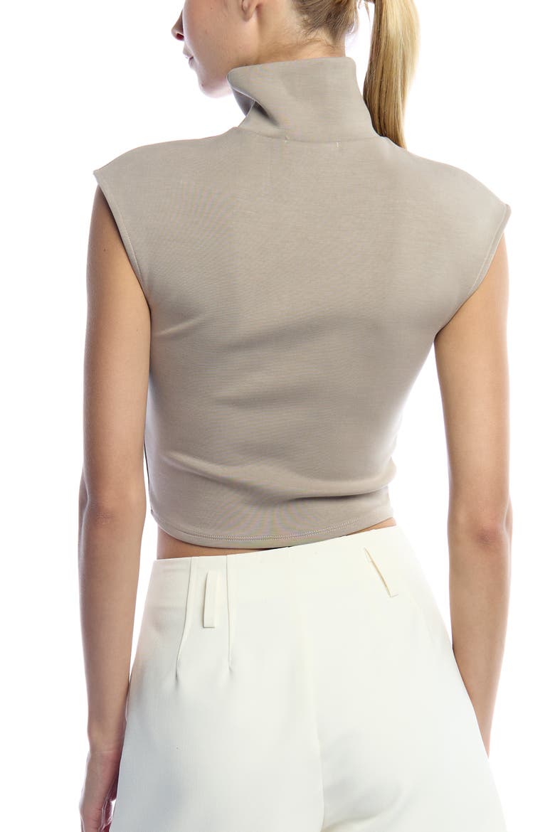 Winslow Sleeveless Turtleneck, Alternate, color, Mocha
