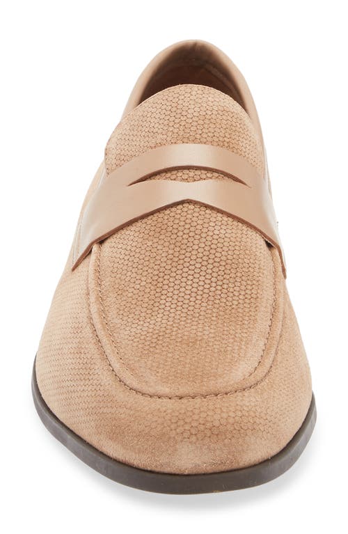 Steve Madden Pomona Penny Loafer In Brown