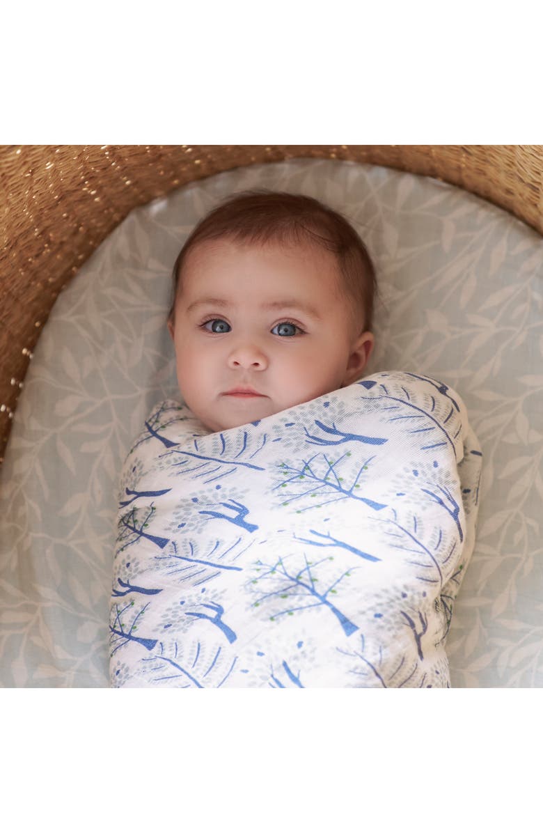 aden + anais Assorted 4-Pack Organic Cotton Muslin Swaddling Cloths, Alternate, color, Outdoors