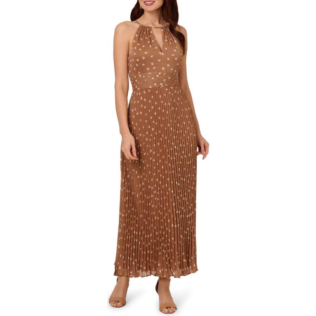Adrianna Papell Floral Pleat Chiffon Maxi Dress In Mink/ivory