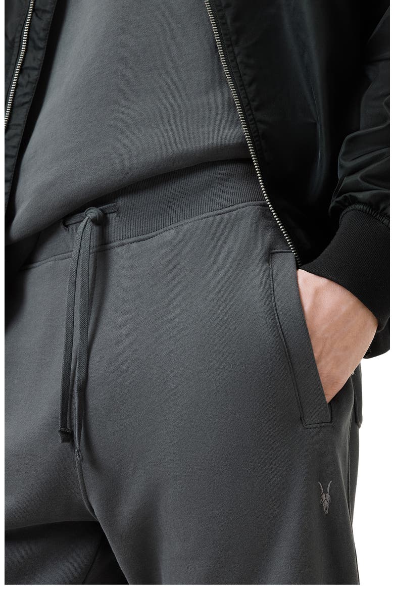 Raven Cotton Sweatpants, Alternate, color, CARTER GREY