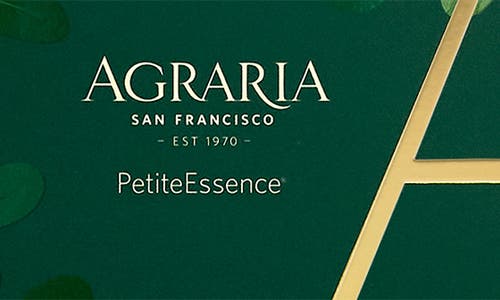 Agraria San Francisco Holiday Petite Diffuser In Brown