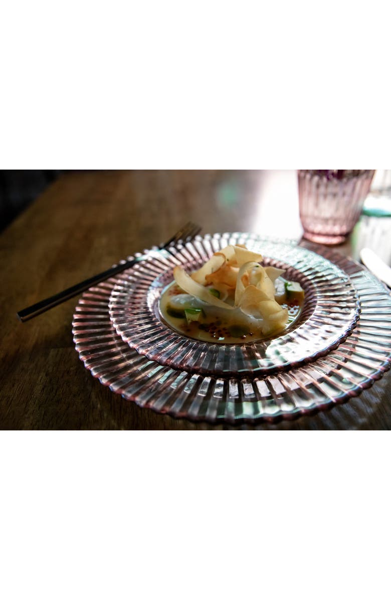 Fortessa Archie Set of 4 Pink Dinner Plates, Alternate, color, Pink