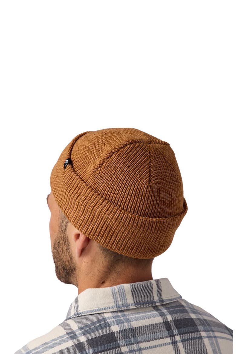 Capra Rolled Beanie, Main, color, Bistre