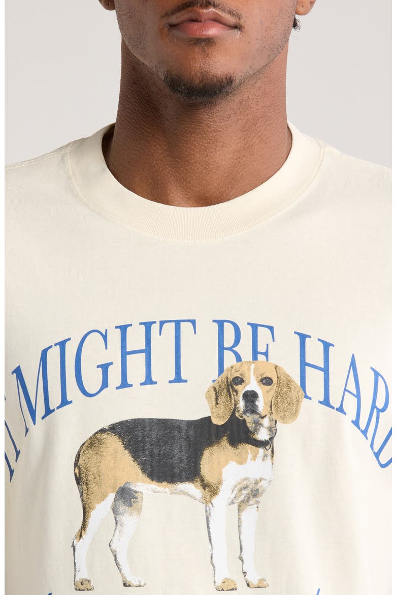 Beagle Cotton Graphic T-Shirt, Alternate, color, CREAM