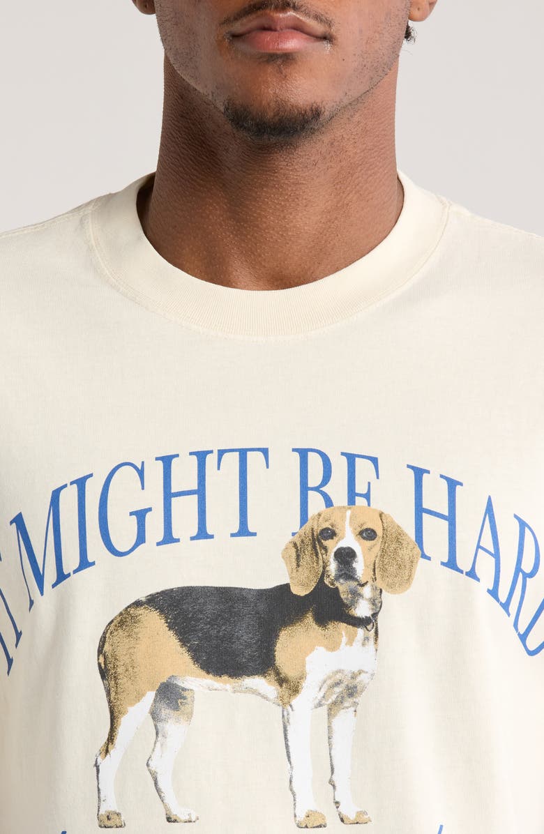 SANTO STUDIO Beagle Cotton Graphic T-Shirt, Alternate, color, 