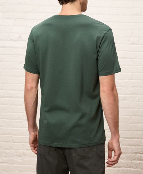 Pact Organic Cotton Softspun V-neck Tee In Green