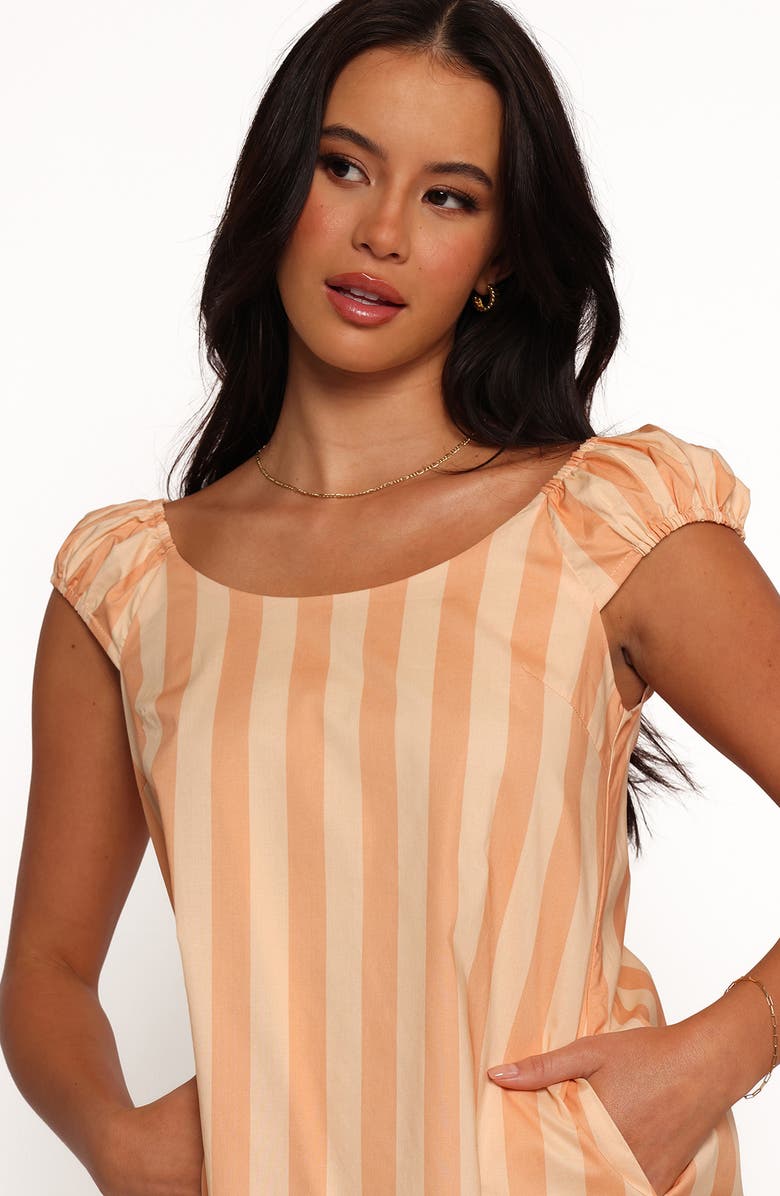 Petal & Pup Pammy Stripe Cotton Minidress, Alternate, color, Terracotta Stripe