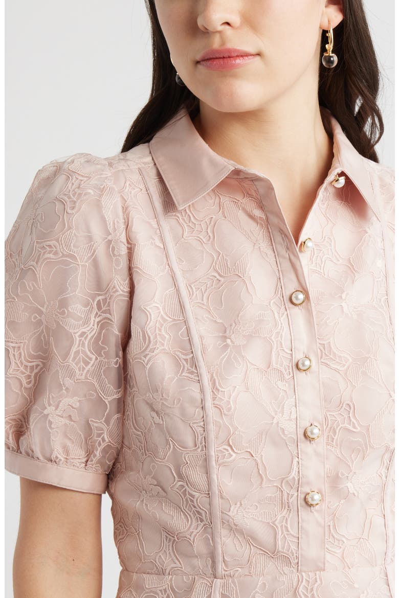 Floral Embroidered Puff Sleeve Minidress, Alternate, color, PINK SEPIA