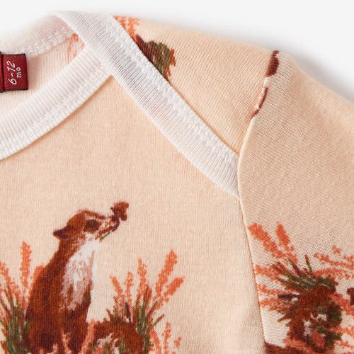 Milkbarn Organic Cotton Long Sleeve One Piece