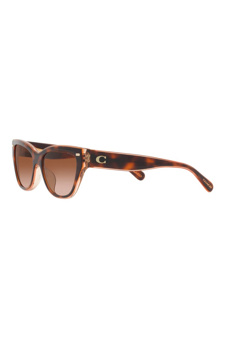 54mm Gradient Cat Eye Sunglasses, Alternate, color, TORTOISE