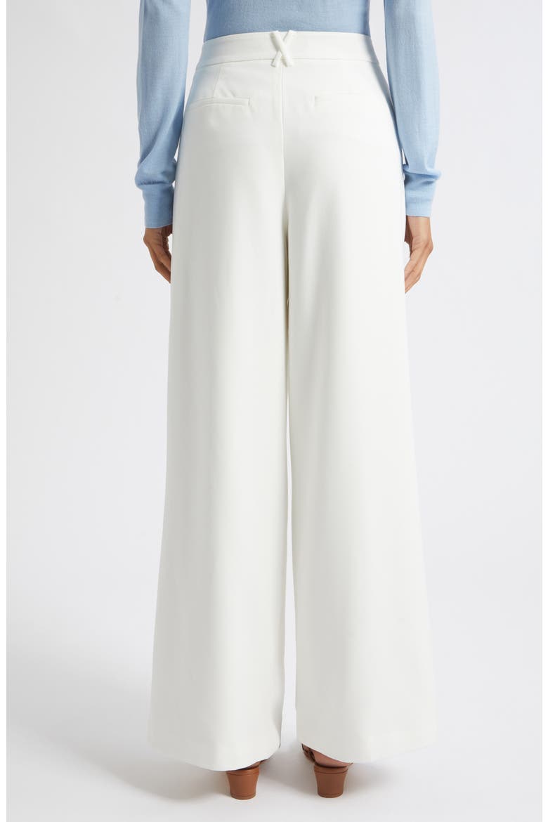 Solara Pleated Wide Leg Trousers, Alternate, color, OPTIC
