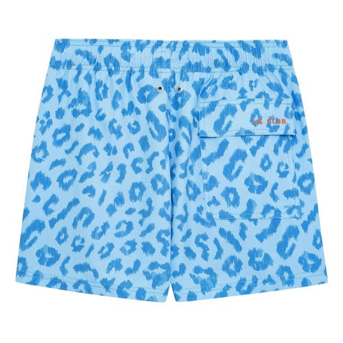 Le Club Resortwear 4.25" Le Club 4 Way Stretch Mens Swim Trunk In Ember