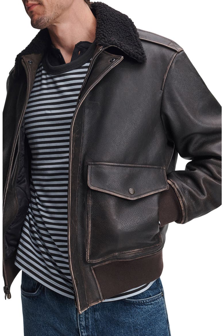 Manston Leather Flight Jacket, Alternate, color, BROWN