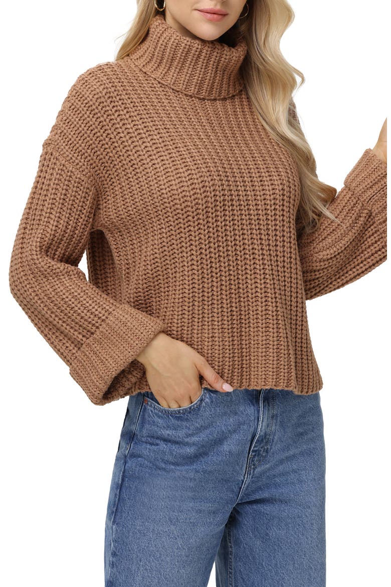Vida Bell Sleeve Turtleneck Sweater, Alternate, color, CINNAMON