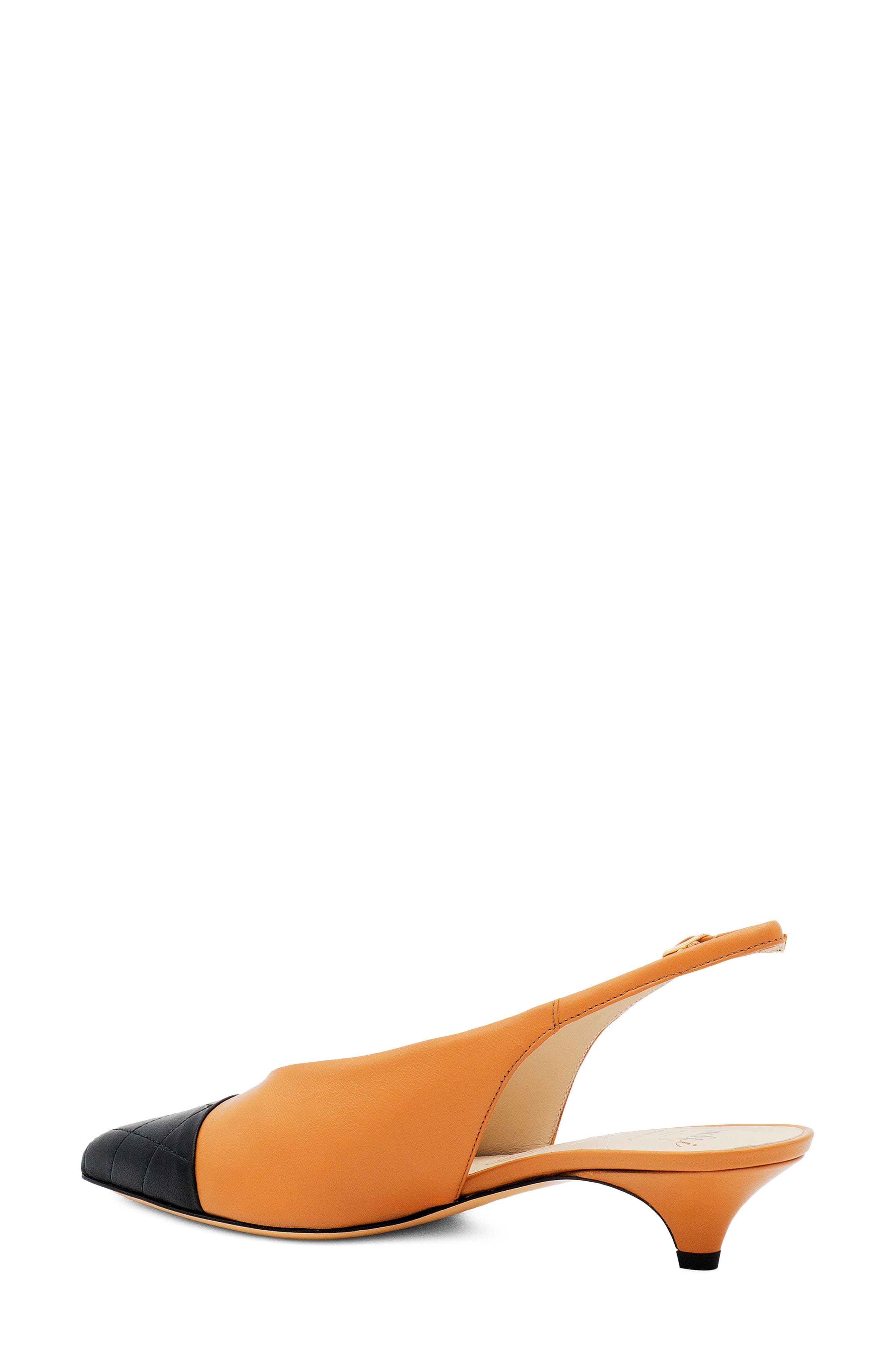 Accento Slingback Pointed Cap Toe Kitten Heel Pump, Alternate, color, NATUR CASHMERE/BLACK PARMASOFT
