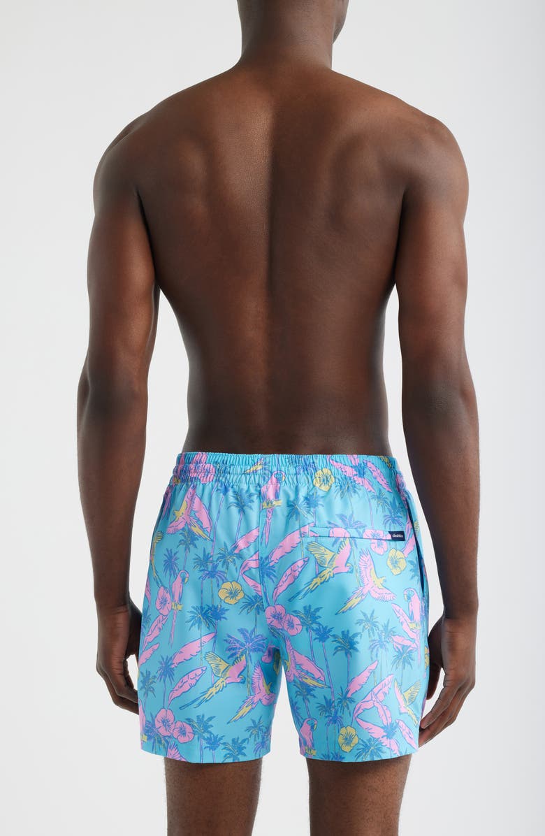 Chubbies The Flock Parties 5.5-Inch Swim Trunks, Alternate, color, Turquoise/ Aqua