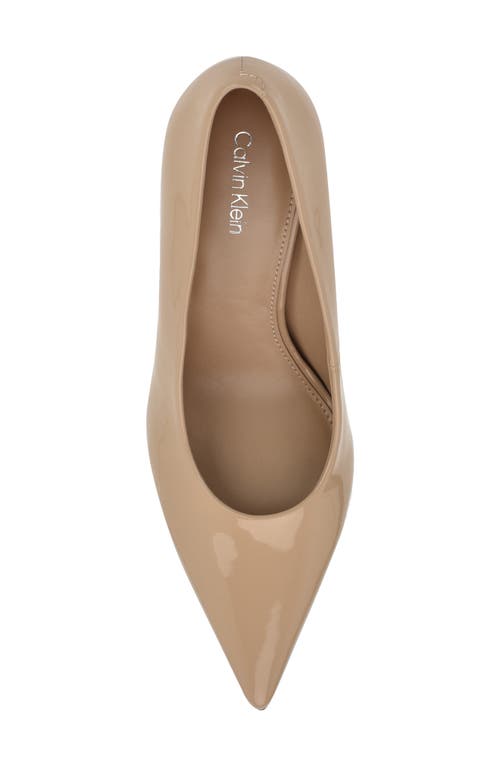 Calvin Klein Leciey Pointed Toe Pump