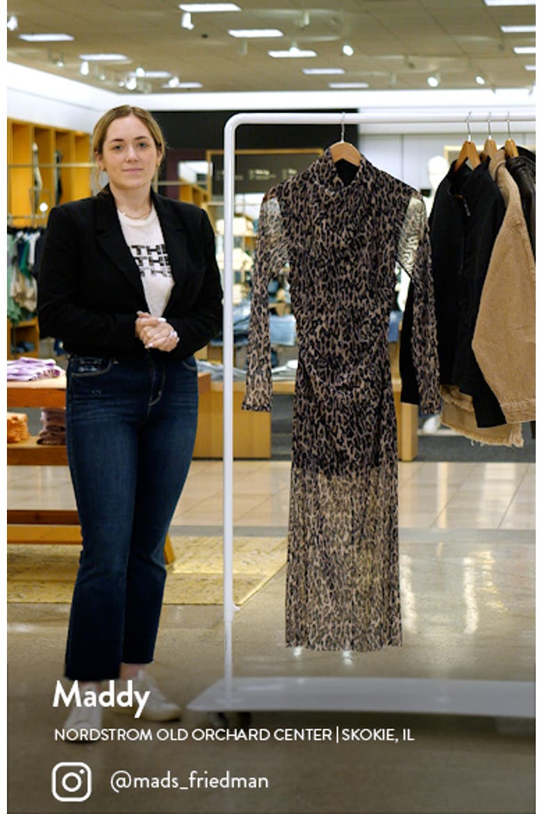 Tia Leopard Print Semisheer Long Sleeve Dress video
