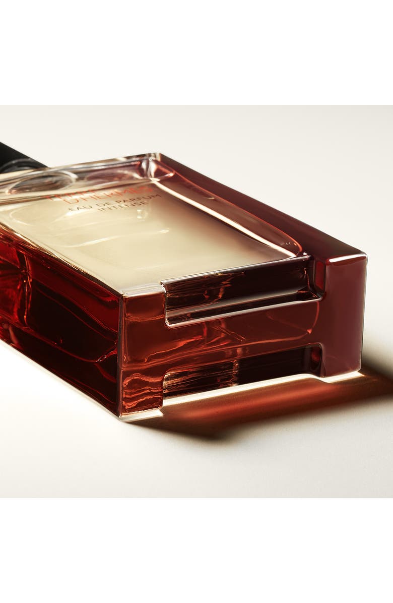 Hermès Terre d'Hermès - Eau de Parfum Intense, Alternate, color, Regular