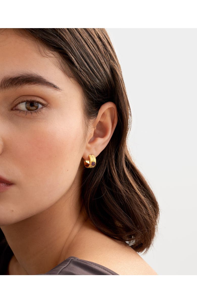 Katie Loxton 'February' Waterproof Gold Birthstone Hoop Earrings, Alternate, color, February