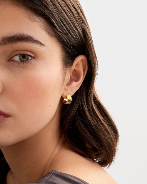 Katie Loxton 'february' Waterproof Gold Birthstone Hoop Earrings In Gold