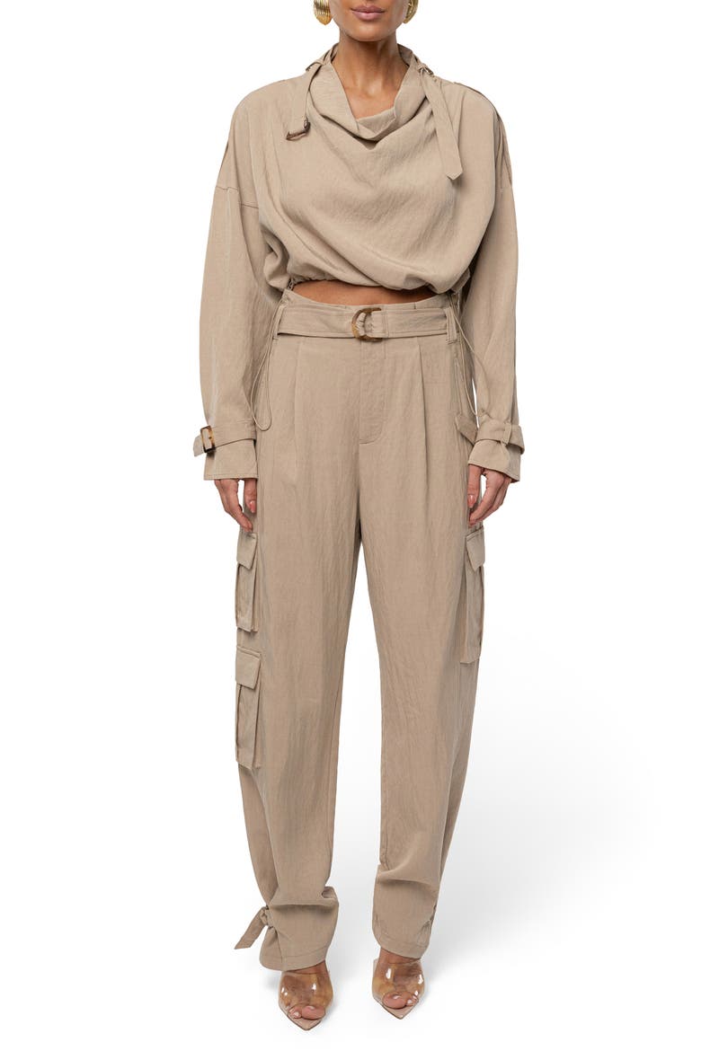 Wanderlust Long Sleeve Crop Top, Alternate, color, BEIGE