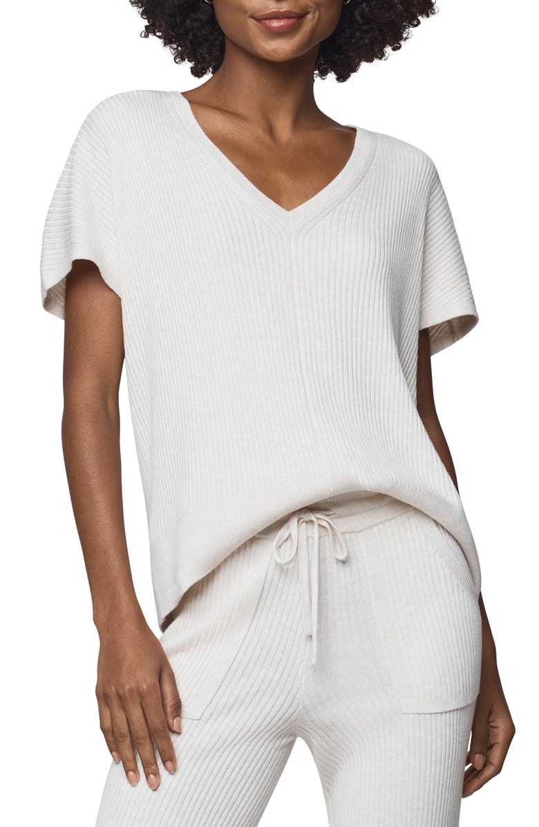 Splendid Georgie V-Neck Short Sleeve Rib Sweater, Main, color, Pale Oak Heather