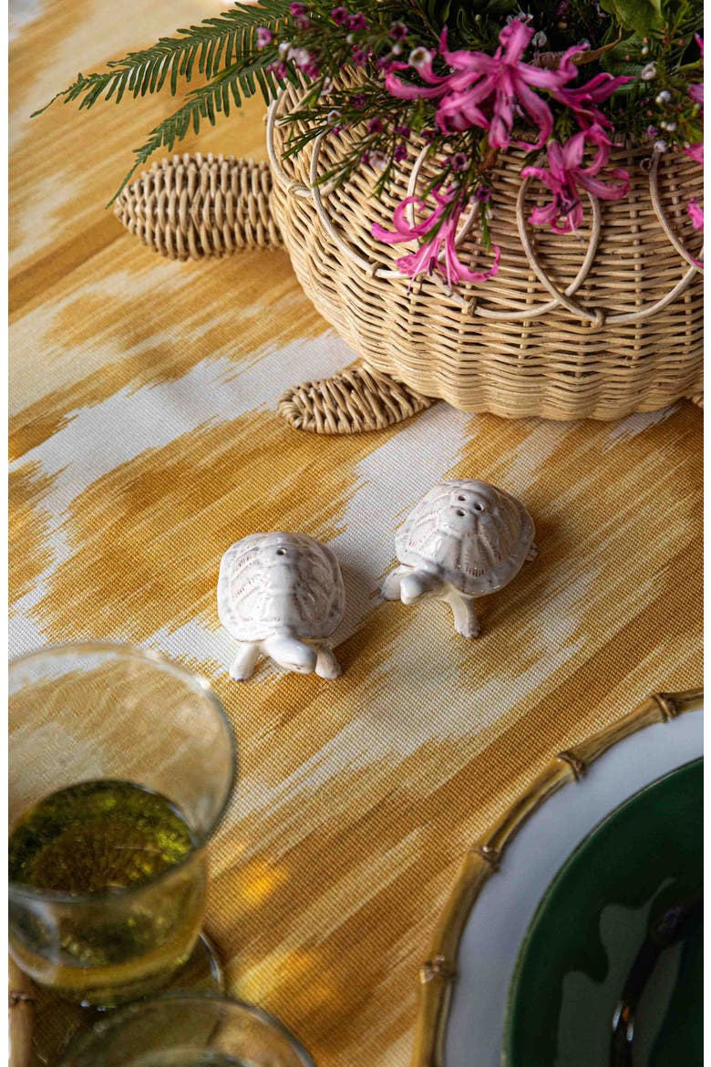 Clever Creatures Turtle Salt & Pepper Shakers Set, Alternate, color, WHITEWASH