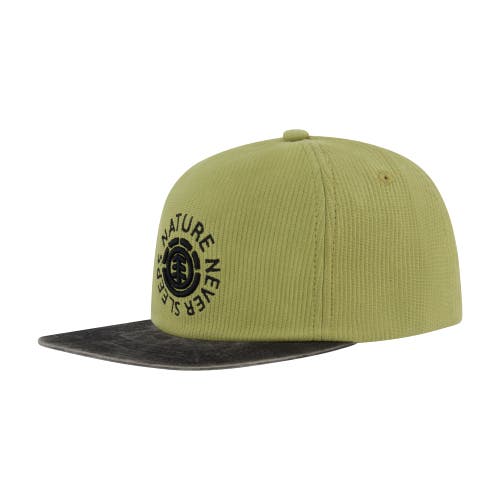 Element Low Profile Flat Brim Cap In Green