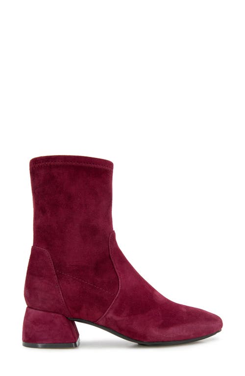 Gentle Souls Emily Bootie In Multi