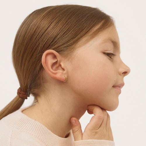 Shop In Season Jewelry 14k The Tiny Hoop Earrings In Gold