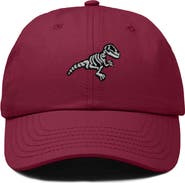 Dalix Fossil Embroidered Outdoor Hat