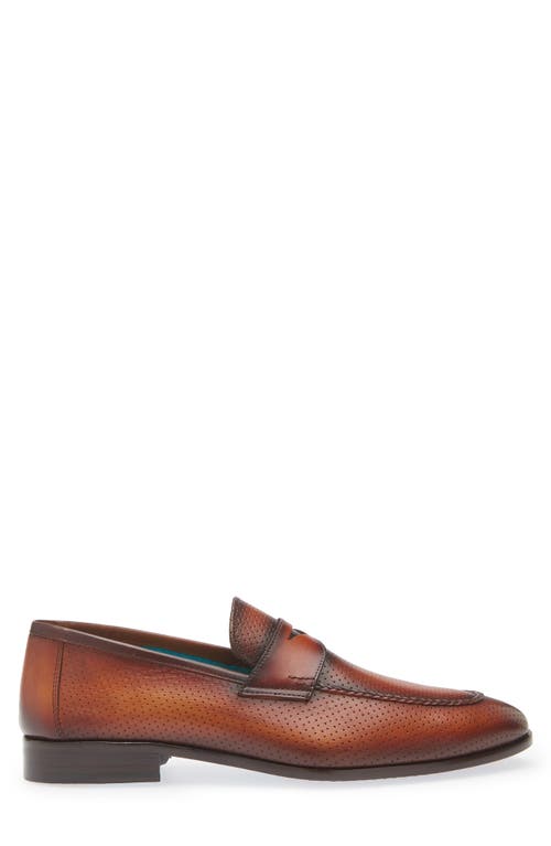 Mezlan Cueva Perforated Penny Loafer In Cognac Rust