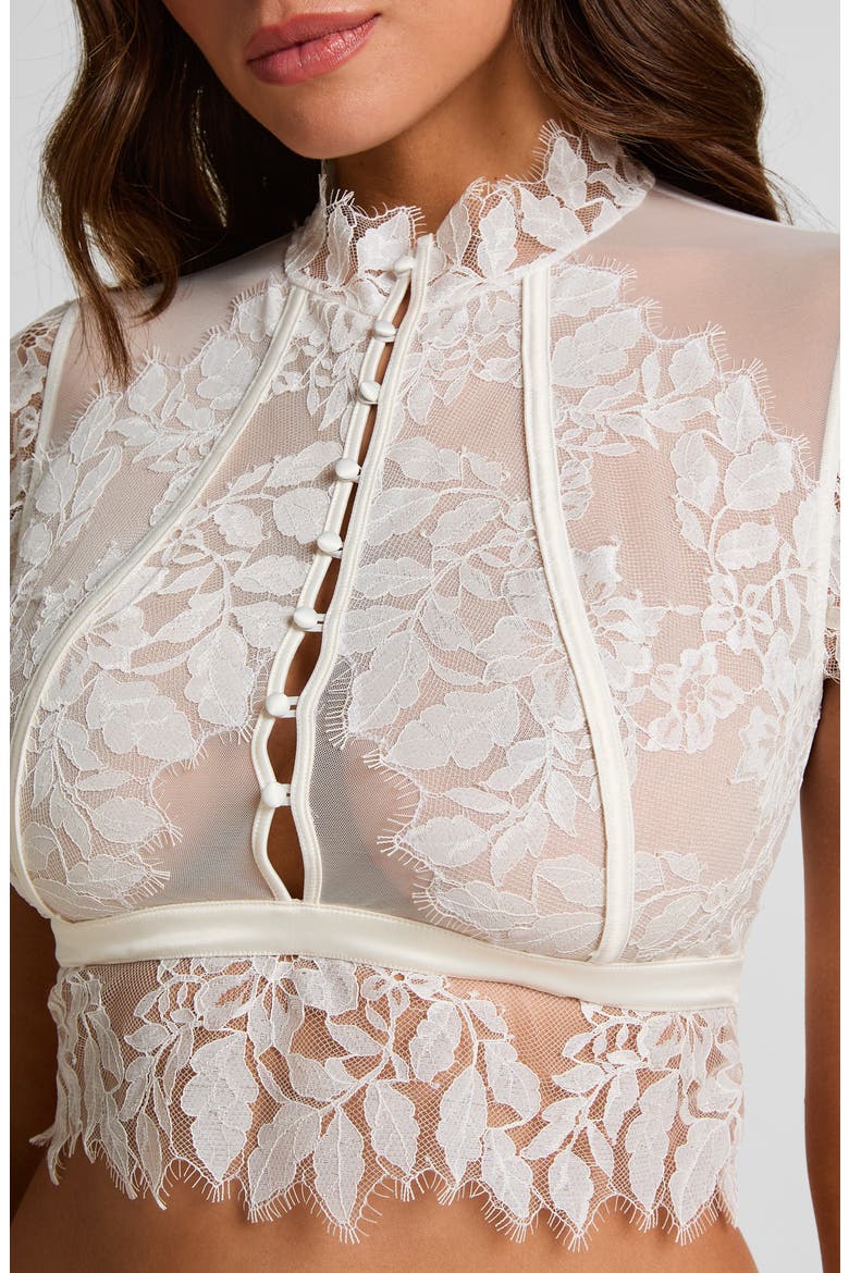 Amelia Lace & Mesh Crop Corset Top, Alternate, color, SNOW WHITE